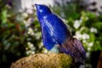 CERAMIC STYLIZED ABSTRACT BIRD OF HAPPINESS No 196 HAND MODELLED IN TERRACOTTA SHOOTING STAR