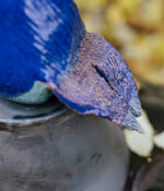 CERAMIC STYLIZED ABSTRACT BIRD OF HAPPINESS No 196 HAND MODELLED IN TERRACOTTA SHOOTING STAR - Image 3