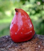 KERAMIČKA PTICA SREĆE br 385 UNA