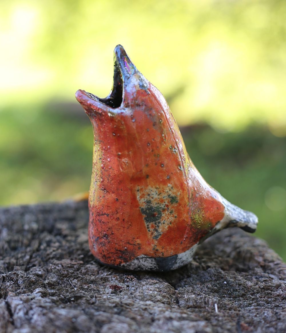 BIRD BANK NO 5